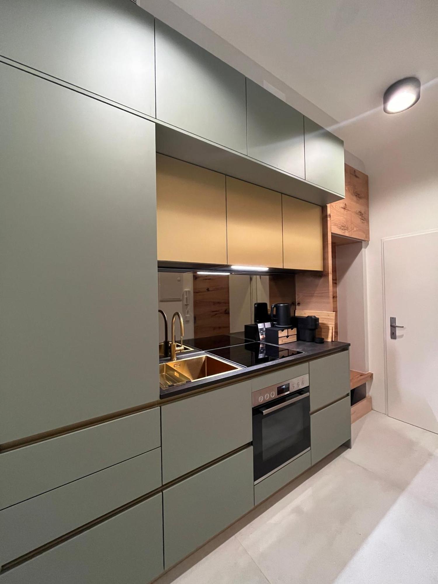 Luxurious One Room Apartment Near Schoenbrunn Palace 비엔나 외부 사진