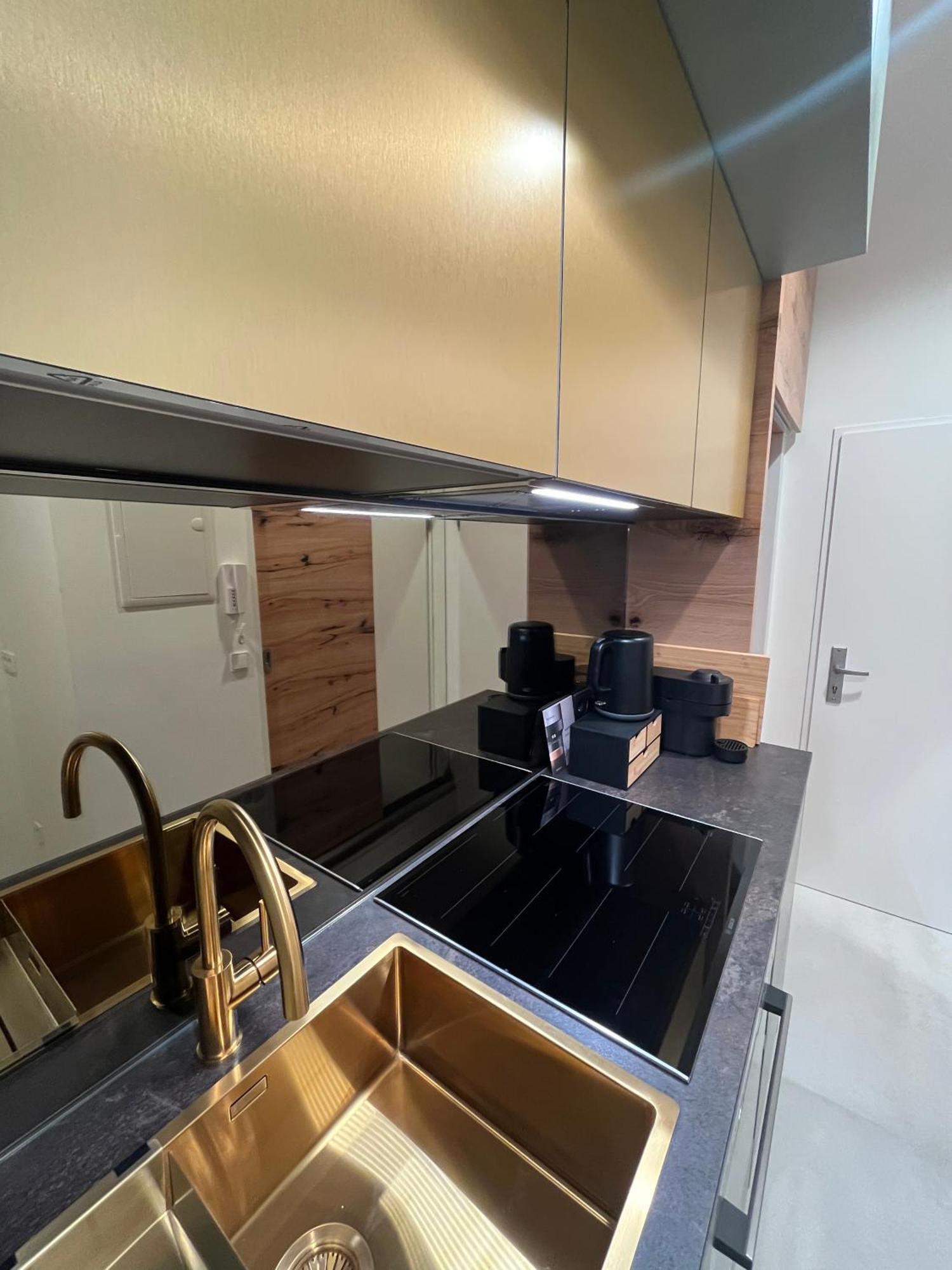 Luxurious One Room Apartment Near Schoenbrunn Palace 비엔나 외부 사진